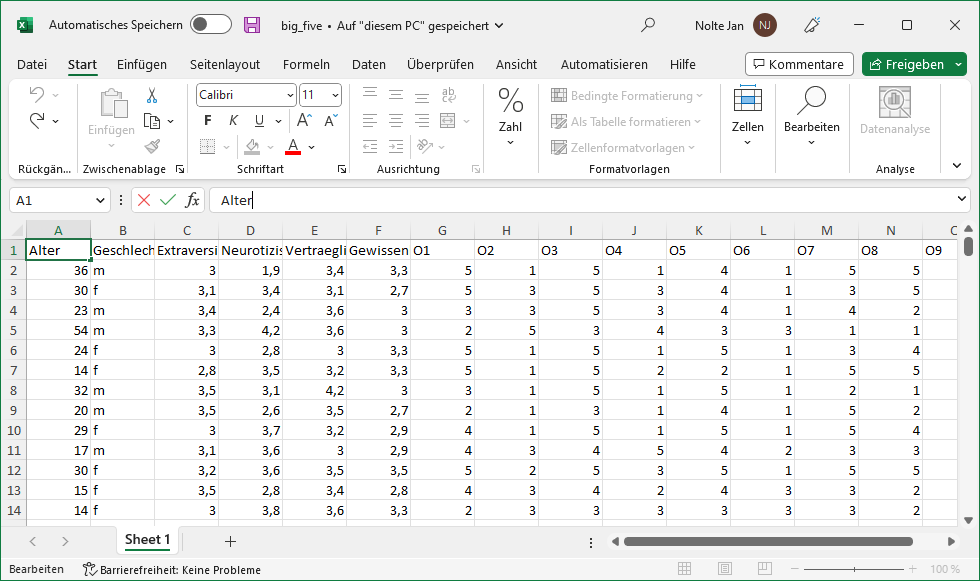 Big Five Datensatz als Excel Dokument.